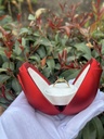 Anillo + cofre de lujo 