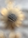 Cadena girasol te amo 100 idiomas 