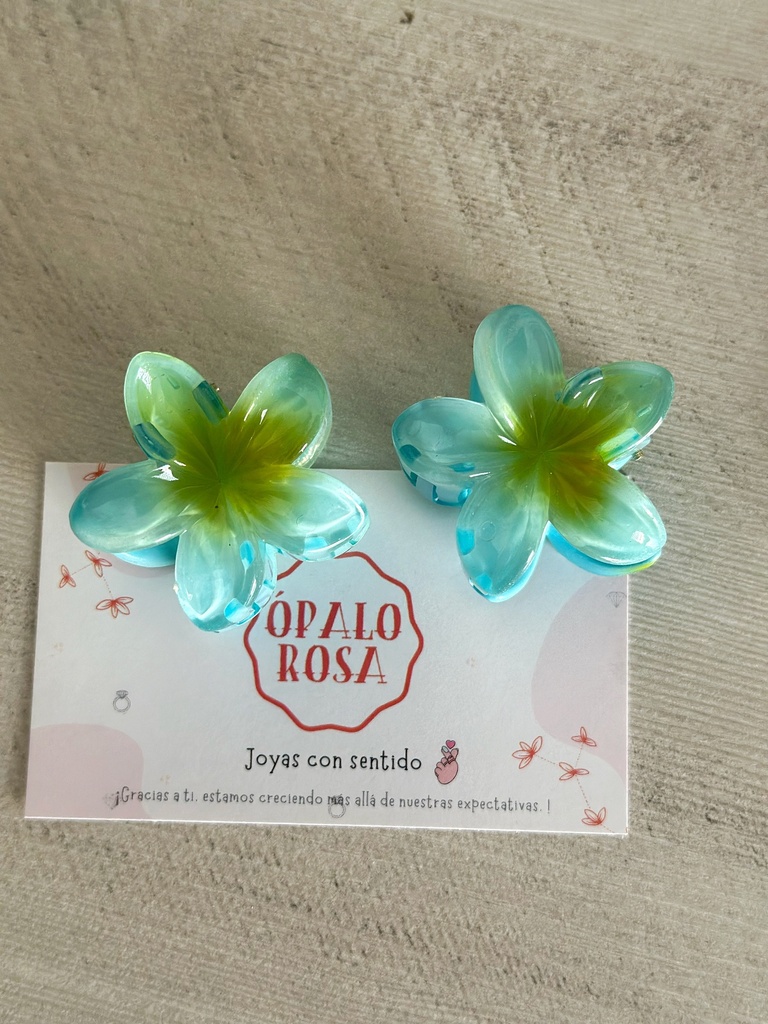 Caimán hawaiano pequeño 