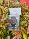 Reloj deportivo para caballero