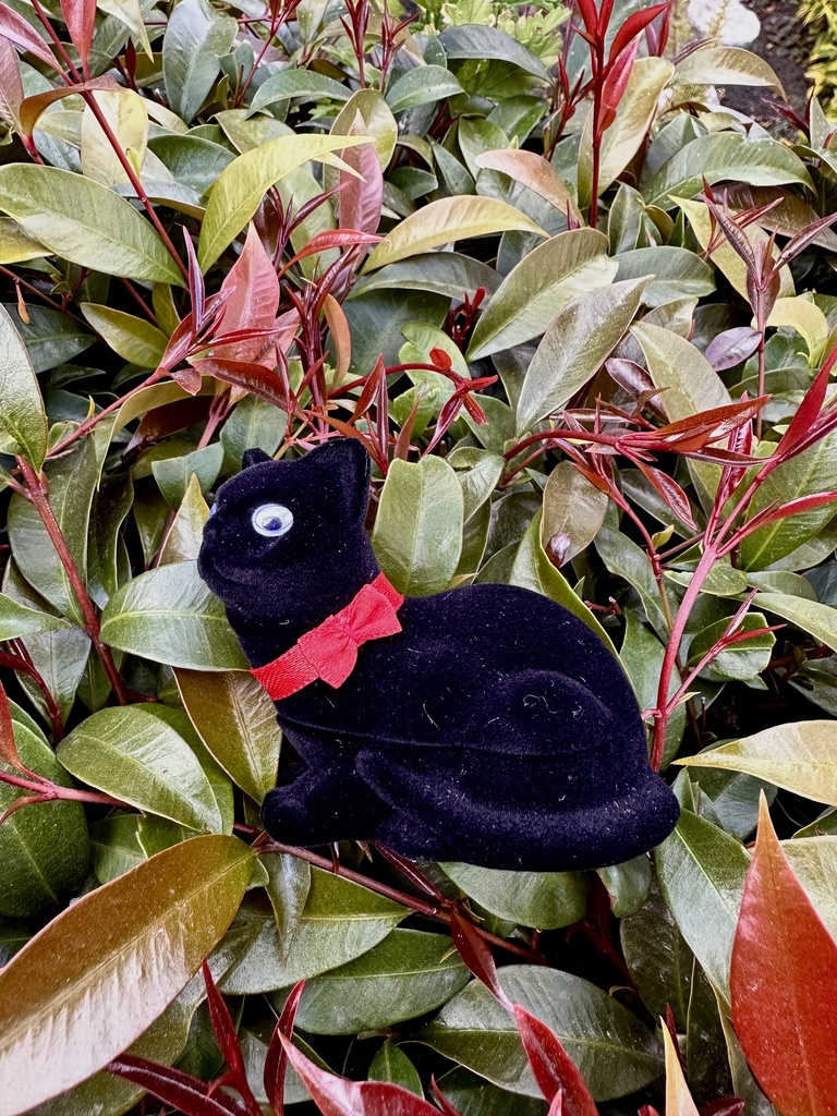 Anillo promesa gatico negro