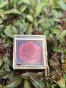Anillo promesa rosa giratoria