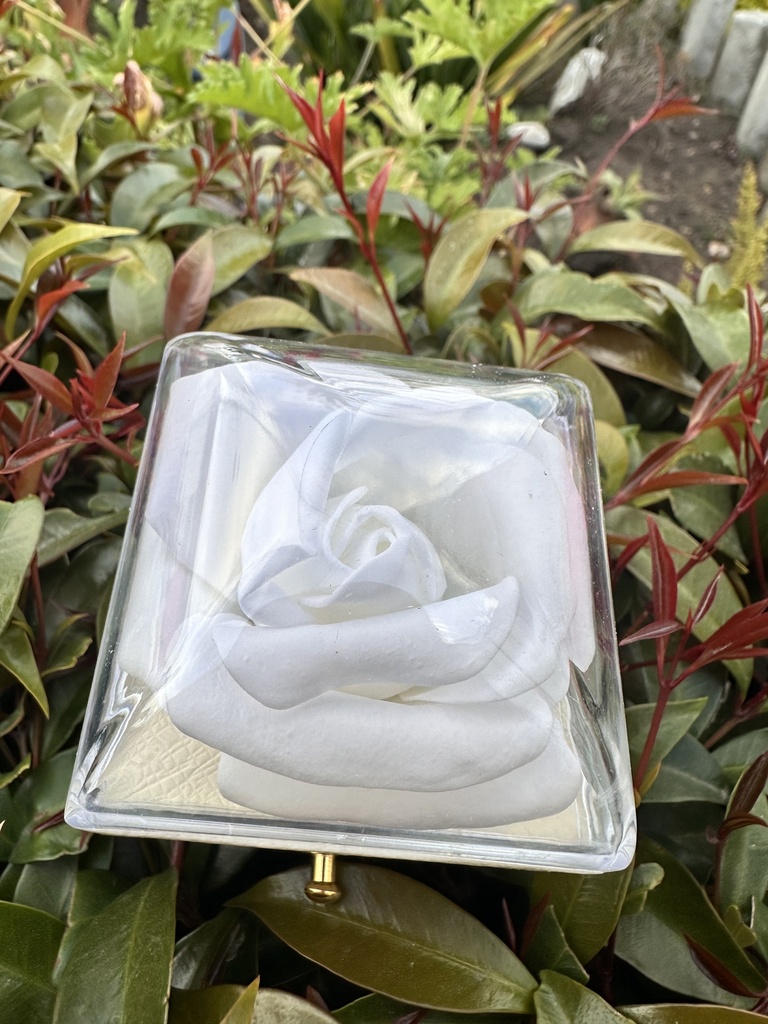 Anillo promesa rosa de plata