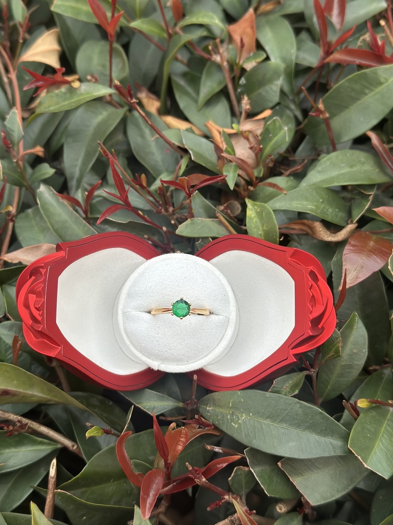 Anillo + cofre de lujo 