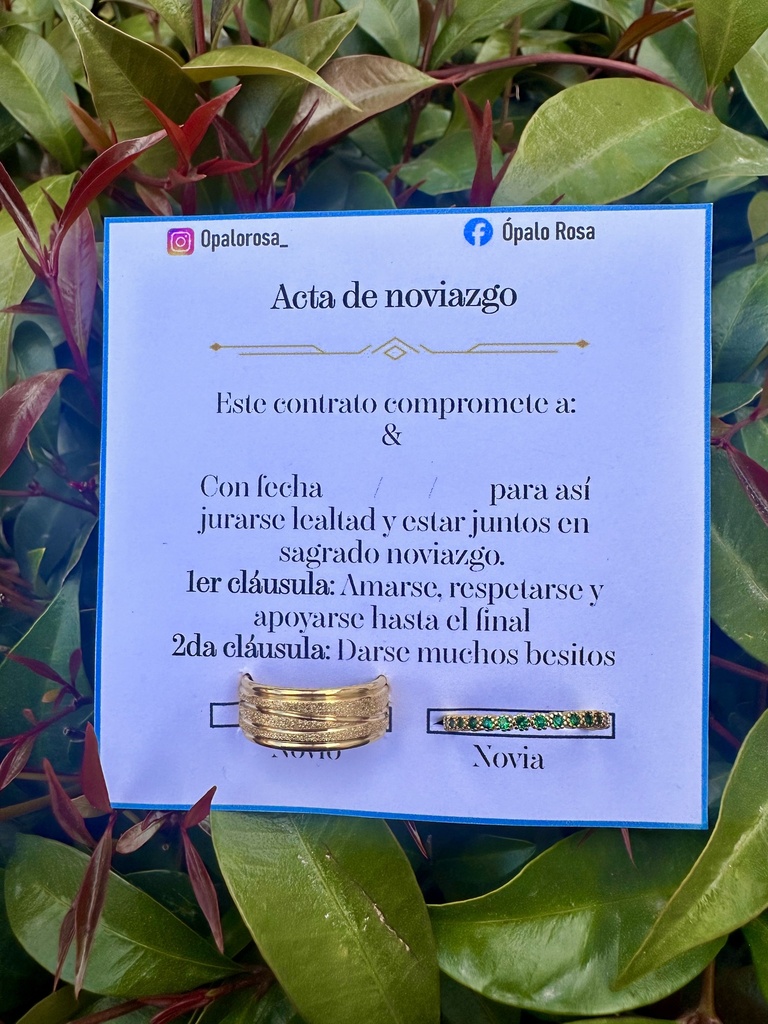 Anillos noviazgo