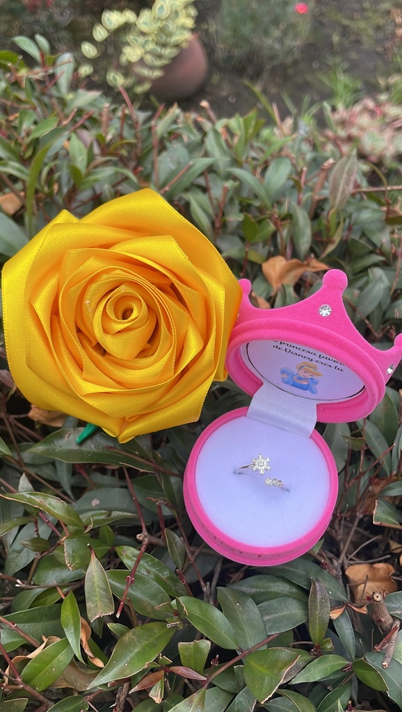 Combo de regalo princesa eterna