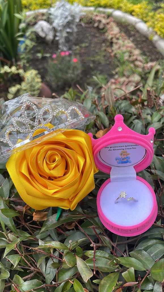 Combo de regalo princesa eterna #2