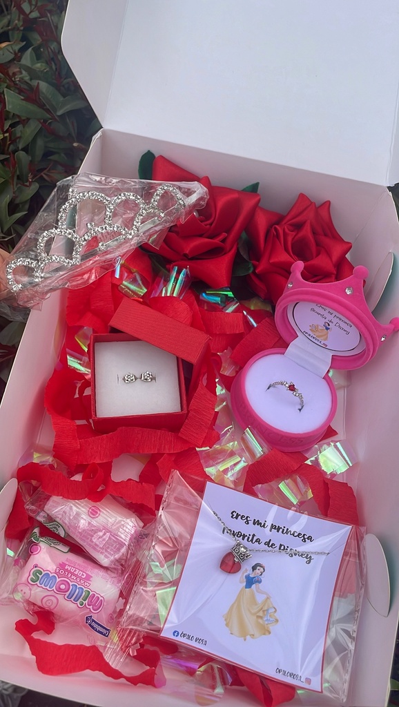 Combo de regalo princesa deluxe 