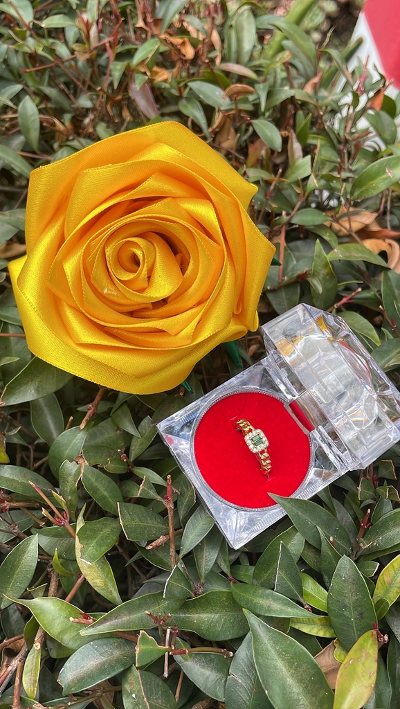 Combo de regalo promesa eterna #2