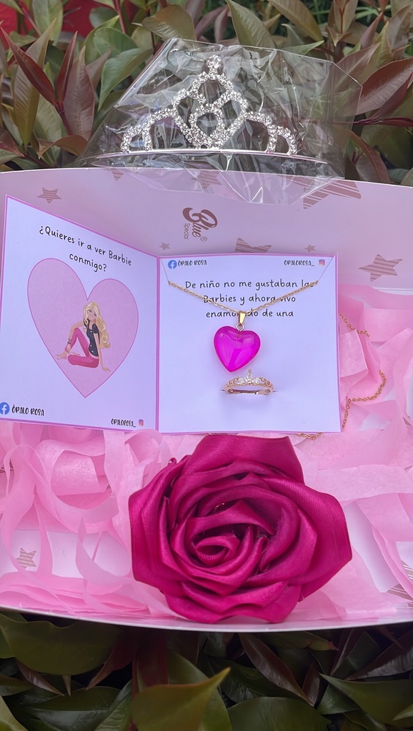 Combo de regalo Barbie delux 