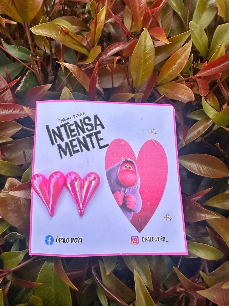 Aretes intensamente REF VERGUENZA