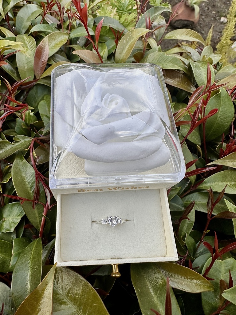 Anillo promesa rosa de plata