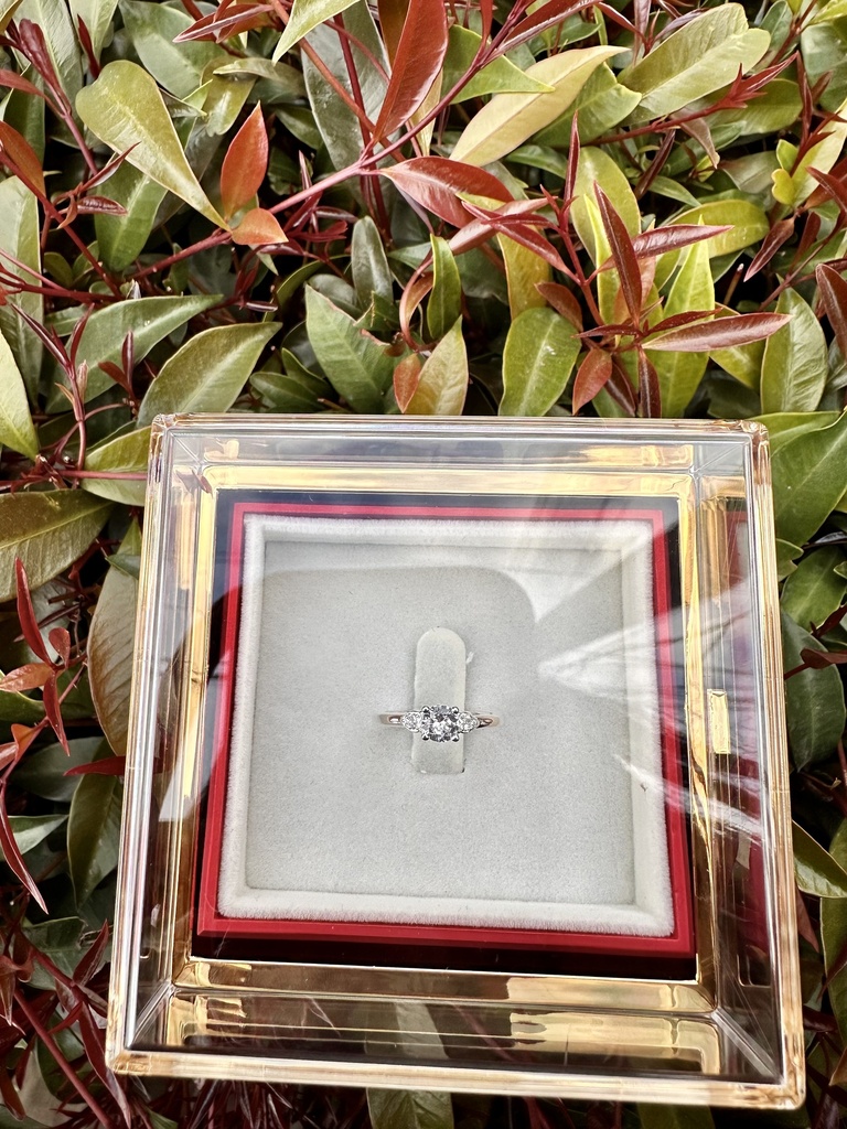 Anillo promesa rosa giratoria de plata 