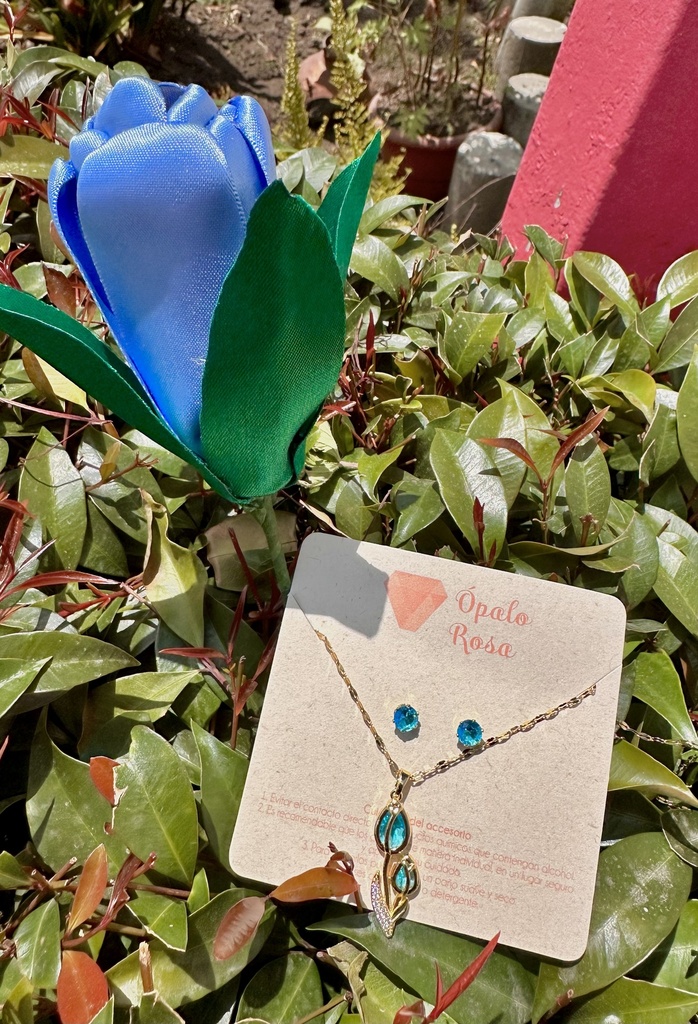 Combo de regalo un tulipán 