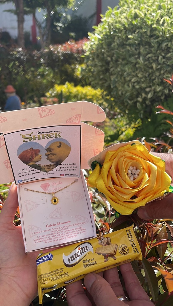 Combo de regalo Shrek eterno 🌻