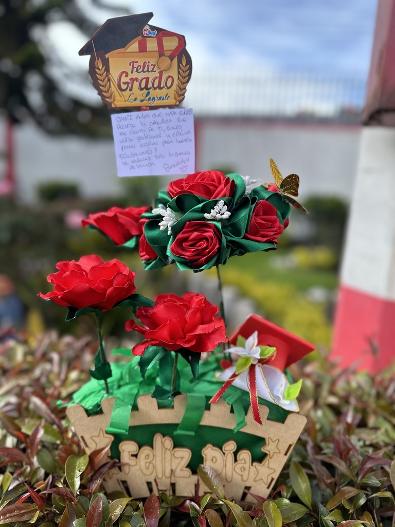Ramo de grado con flores eterna 