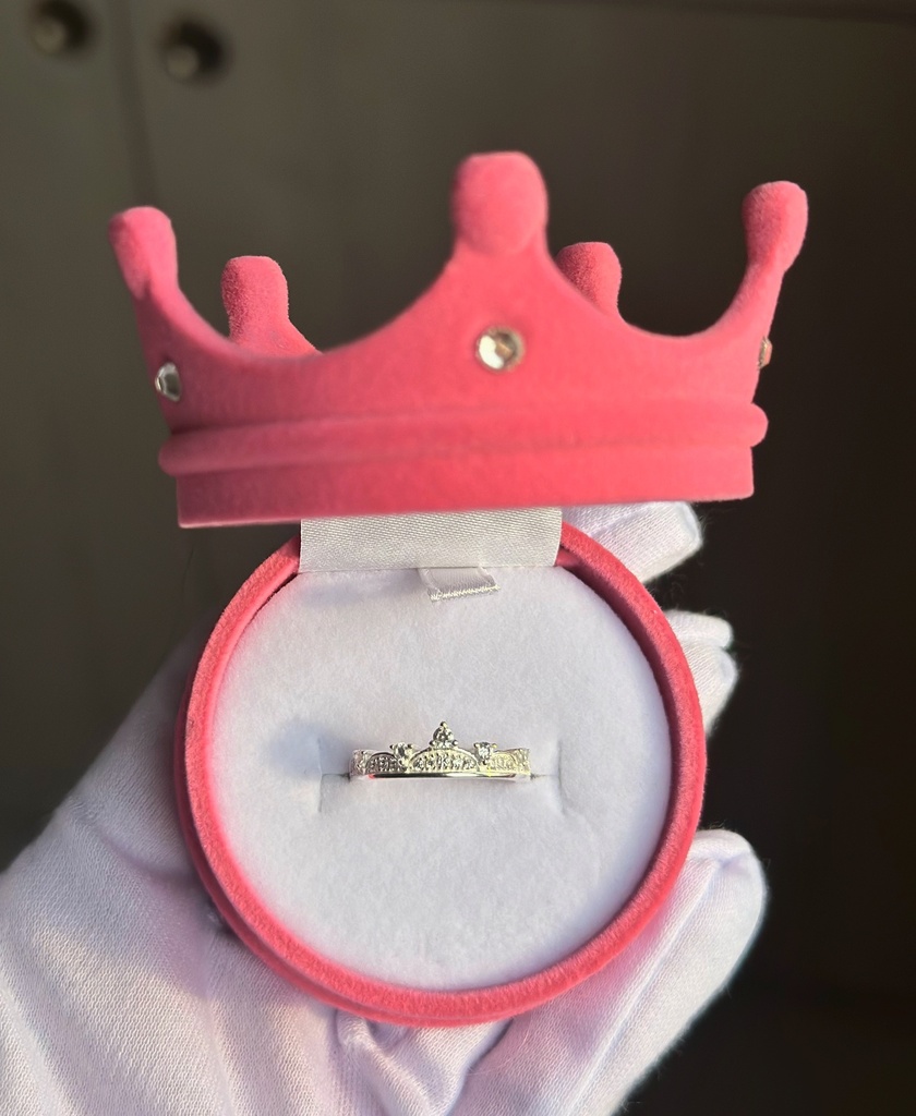 Anillo corona Delgado 